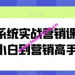 全系统实战营销课，从小白到营销高手