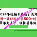 2024年视频号最新引流方法，实测一天轻松日引100+创业粉，简单好上手，轻松引爆流量【揭秘】