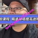 吉他张小胖：精通弹唱提高班