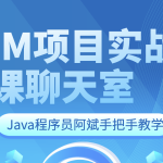 Java程序员阿斌手把手教学-IM项目实战课【聊天室】