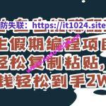 小白也能赚翻！学生假期编程项目，轻松复制粘贴，年货钱轻松到手2W+【揭秘】