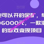 普通人也可以开的金矿，单号极限年收益96000元，一款潜力无穷的游戏变现项目【揭秘】