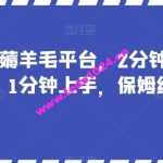 最新国外薅羊毛平台，2分钟视频收益50+，1分钟上手，保姆级教程【揭秘】