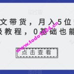 动态图文带货，月入5位数，保姆级教程，0基础也能做【揭秘】