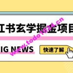 小红书玄学掘金项目，值得常驻的蓝海项目，日入3000+附带引流方法以及渠道【揭秘】