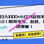 日入1000+小红书起名玄学4.0（附带手写，起名，新变现渠道）【揭秘】