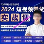 果哥·2024短视频带货实操课，​赛道规划/选品方法/投流测品/放量玩法/流量规划/拍摄教学