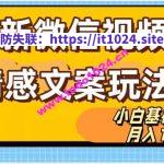 微信视频号情感文案最新玩法，小白轻松月入1万+无脑搬运【揭秘】