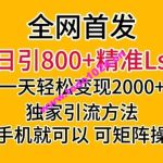 全网首发！日引800+精准老色批，一天变现2000+，独家引流方法，可矩阵操作【揭秘】