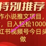 无脑操作【小说推文项目】，兼职每天两小时，日入轻松1000+，抖音快手视频号小红湖中视频都可做【揭秘】