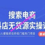 搜索电商抖店无货源必修课，普通人都能抓住的低门槛热门项目【速成版】