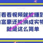 谁做过这么简单的项目？只需要看看视频就能赚到钱，不差钱的富豪还能换成实物，赚钱就是这么简单！【揭秘】