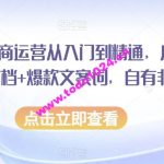 小红书电商运营从入门到精通，店铺入住全流程文档+爆款文案词，自有非凡收获