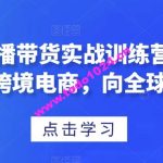 TikTok直播带货实战训练营，引流爆单，学跨境电商，向全球卖货！