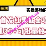 全网首发红果免费短剧掘金项目，单机30+可批量放大【揭秘】