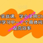 GPT指令实战课，学会使用ChatGPT，解决工作学习中一个个具体问题，真正提高效率