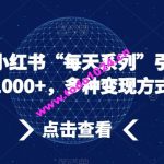 流量密码，小红书“每天系列”引流，日引流1000+，多种变现方式【揭秘】