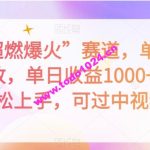 抖音“超燃爆火”赛道，单条作品千万播放，单日收益1000+，小白轻松上手，可过中视频【揭秘】