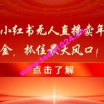 新春倒计时！小红书无人直播卖年货，无货源撸金，抓住最大风口【揭秘】