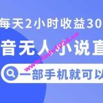 抖音无人小说直播，一部手机操作，日入300+【揭秘】