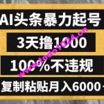 AI头条      起号，3天撸1000,100%不违规，复制粘贴月入6000＋【揭秘】