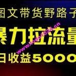 抖音图文带货      起号，单日收益5000+，野路子玩法，简单易上手，一部手机即可【揭秘】