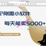 十万个富翁修炼宝典之17.一个刚需小软件，每天能卖5000+