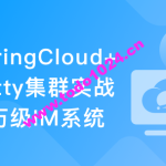 SpringCloud+Netty集群实战千万级 IM系统