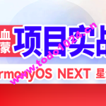 HarmonyOS鸿蒙app项目-硅谷租房