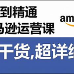 亚马逊入门全套教程，从入门到精通的完整指南