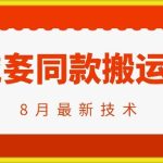 抖音96万粉丝账号【嫠㵄㚣】同款搬运技术