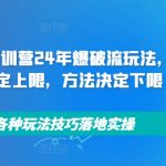 拼多多特训营24年爆破流玩法，产品决定上限，方法决定下限，各种玩法技巧落地实操