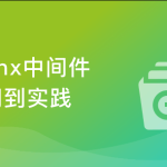 Nginx入门到实践Nginx中间件