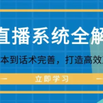 AI直播系统全解析：从项目脚本到话术完善，打造高效直播流程