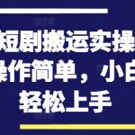 快手短剧搬运实操全流程，操作简单，小白也可轻松上手