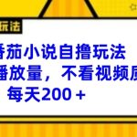 番茄小说自撸玩法，不看播放量，不看视频质量，每天200+【揭秘】