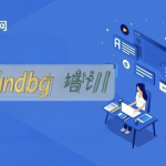 博览网windbg培训.net