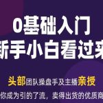 2024年抖音新媒体流量变现运营笔记