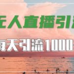 抖音快手视频号全平台通用，无人直播引流法，超      引流1000+高质量精准创业粉【揭秘】