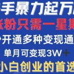 快手      起万粉，涨粉只需一星期，多种变现模式，直接秒开万合，单月变现过W【揭秘】