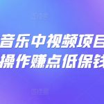 可视化音乐中视频项目，无脑操作赚点低保钱