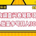 国内调查问卷矩阵项目，一人批量多号月入3000【揭秘】