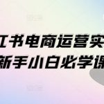 1V1小红书电商运营实操课，新手小白必学课