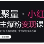 小红书博主爆粉变现课，深入解读小红书商业逻辑，带你进阶变现大咖