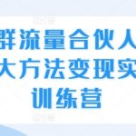 社群流量合伙人，三大方法变现实战训练营