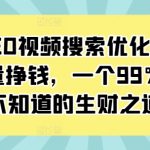 抖音SEO视频搜索优化获取免费流量挣钱，一个99%人还不知道的生财之道