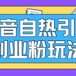 抖音引流创业粉自热玩法日引200+精准粉