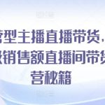 运营型主播直播带货，​千万级销售额直播间带货运营秘籍