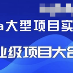 精选24套JAVA企业实战项目教程资源