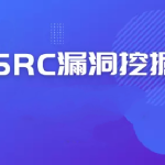 2024最新SRC漏洞报告